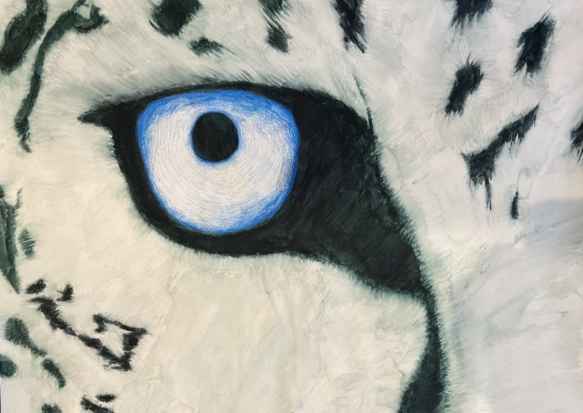student painting of a snow leopard eye