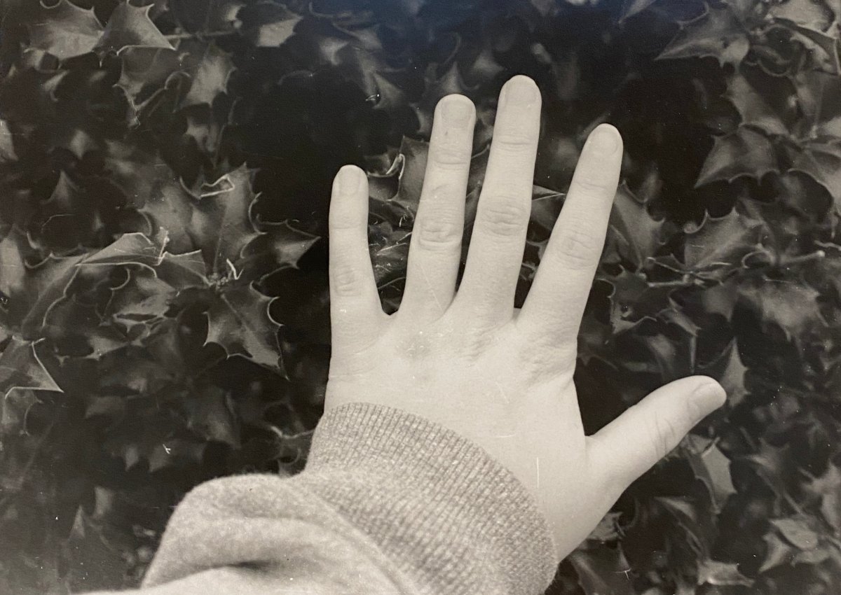 student photo of a hand
