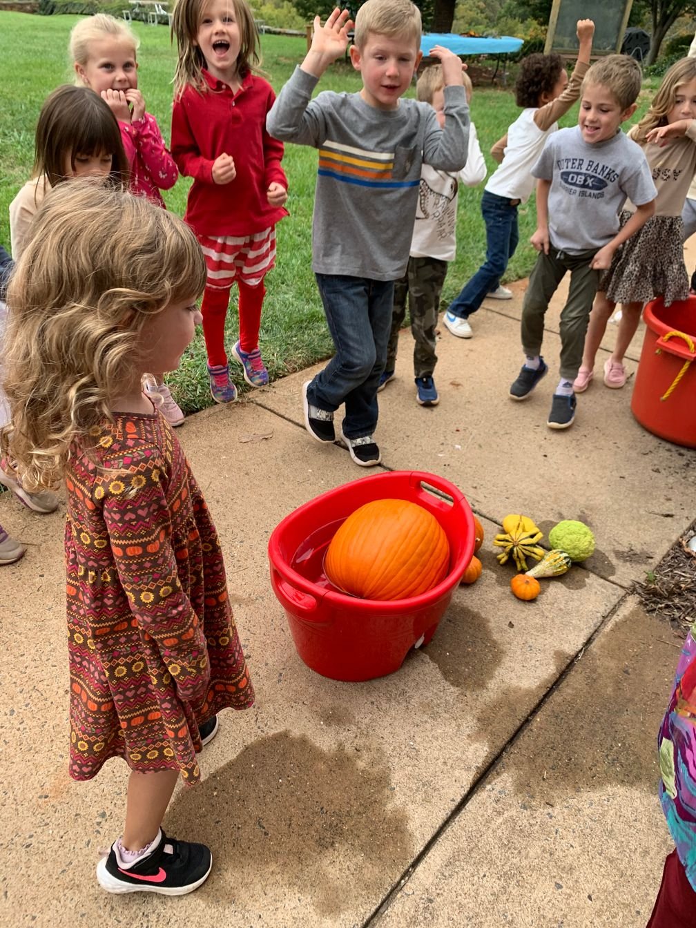 Kindergarten students experimenting with vegetable float tests