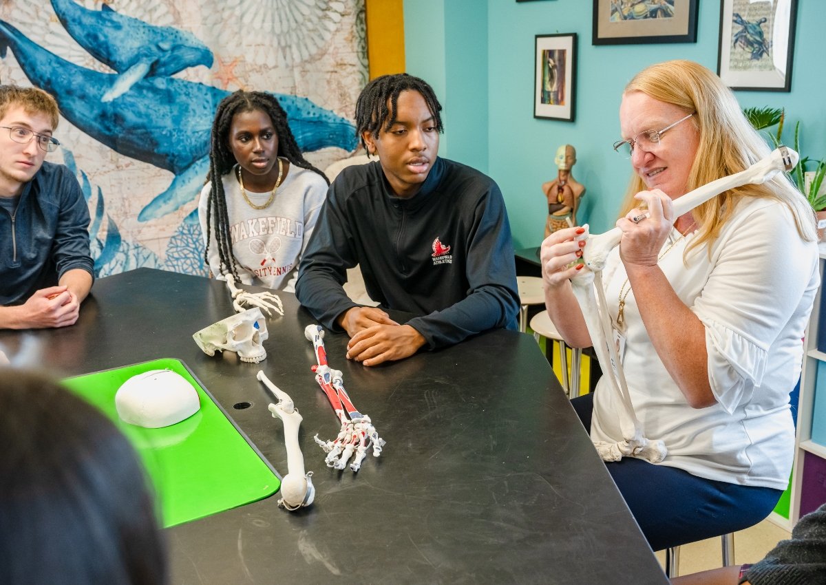 upper school students watching a teacher demonstrate with a skeleton
